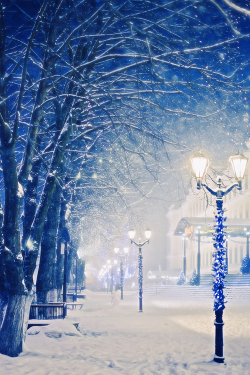  Magic Winter |  by Sergey Shishlov 