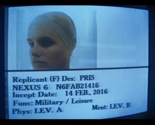 Valentine’s Day 2016 - today - was Pris’s Incept Date.At least in the film…