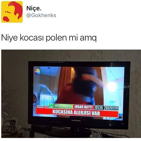 Niçe
ー% @Gokhenks
Niye...