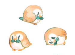 snowysaur:  owls 
