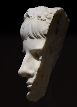 fromthedust: Caligula fragment - marble - Roman, Imperial Period - c.38 CE