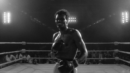 mydarktv: Raging Bull // Martin Scorsese