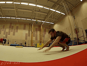 kongtocat:  Human bodies can do great things. Gymnasts and traceurs are a great example