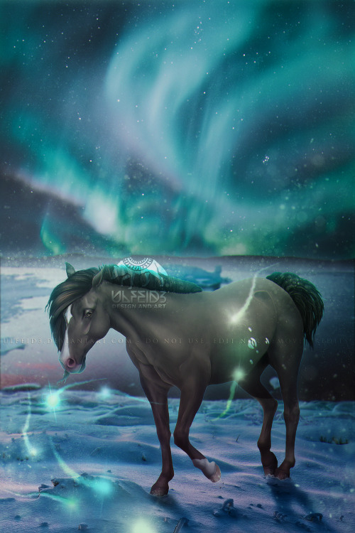 “Northern lights will guide me“art by @ulfeid3artsee in HD here!