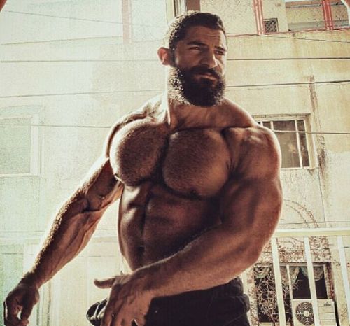 wrestlehead:  Doumit Ghanem  Mounds of muscles and an awesome hairy chest - Woof