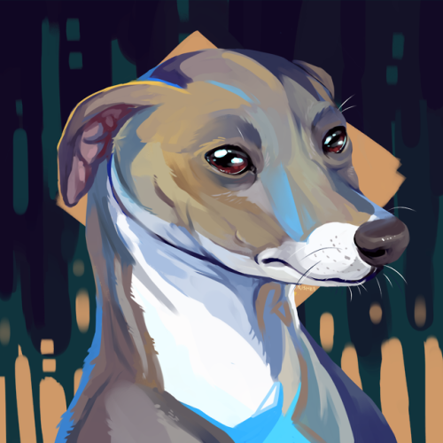 xishka:I’ve been watching a lot of Jenna Marbles in the past few months so I wanted to paint her (an