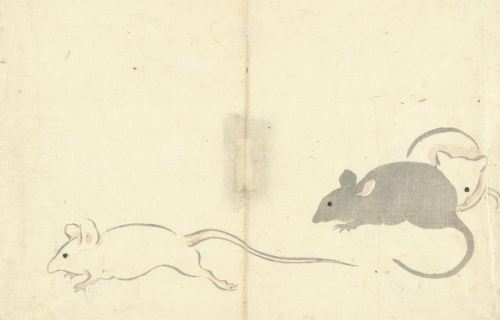  Nakamura Hôchû, Mice, 1826printer: Matsuda Shinsuke (possibly)publisher: Izumiya Shojiro