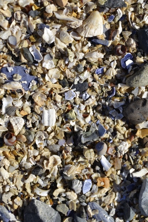 Barnacle Sand