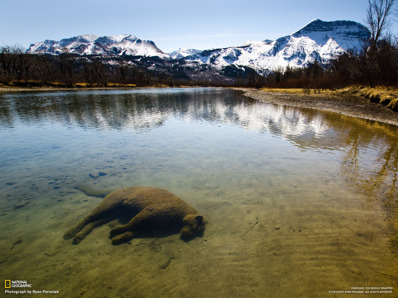 Early April in the Rocky Mountains, the majestic peaks are still snow-covered while