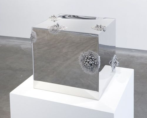 vjeranski - Alyson Shotz Magnetic Force, 2011, Stainless steel,...