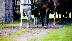 sansaregina: STARK WEEK  day 2: house pride “The Starks of Winterfell have ruled large portions of t