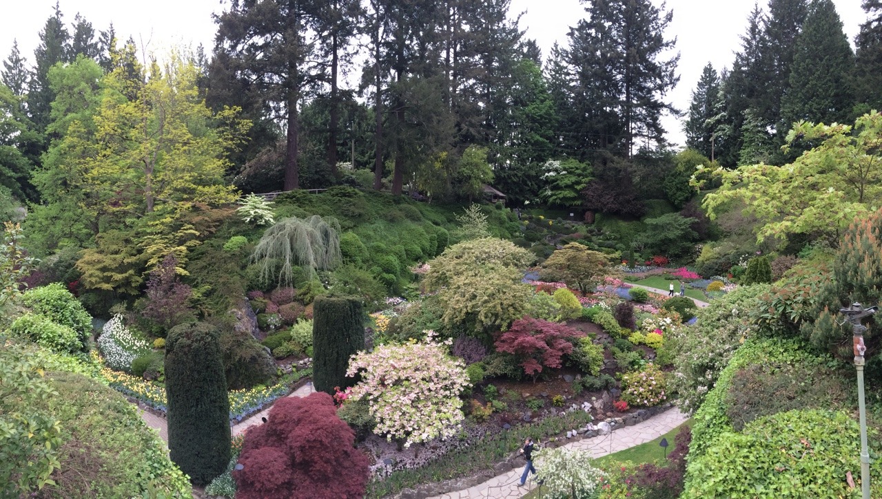 thcolleen:  The Butchart Gardens  Someday&hellip;