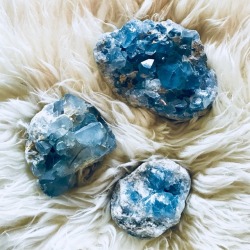 Starborn-Witch:my Celestine Specimens ♡