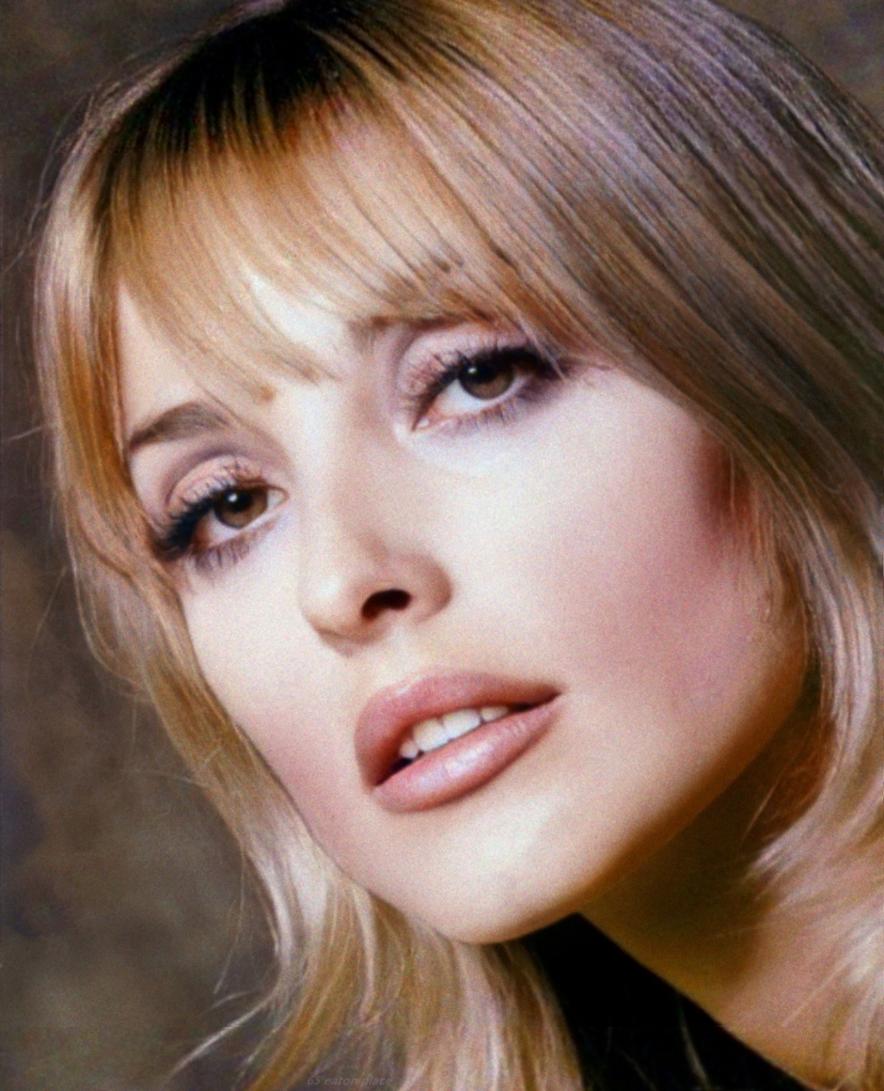 65eatonplace:
“ Sharon Tate, photographed in 1966 by Milton H. Greene
”
