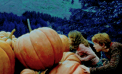 hearthogwarts:Happy Halloween!