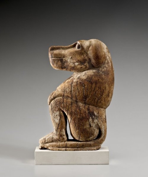 In ancient Egypt, baboons were sacred to the god Thoth, the god of wisdom and knowledge and were bel