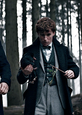 EDDIE REDMAYNE As NEWT SCAMANDER FANTASTIC BEASTS: THE SECRETS OF DUMBLEDORE 2022 | Dir. David Yates