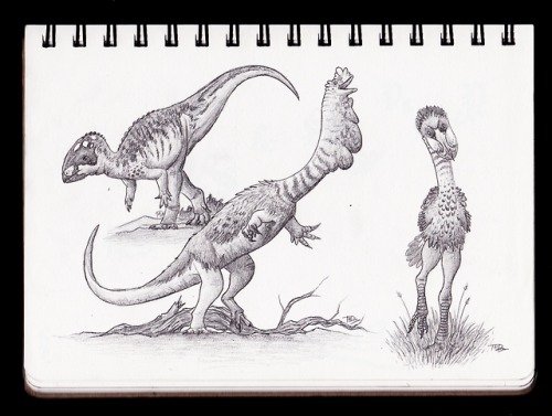 Oh hey, I forgot I hadn’t posted my fourth set of Dinovember sketches from @a-dinosaur-a-day ‘s prom