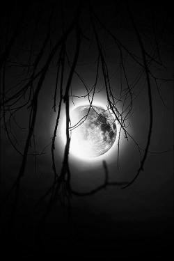 Lilith Lune Noir