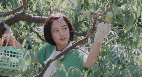 365filmsbyauroranocte:Our Little Sister (Hirokazu Koreeda, 2015)