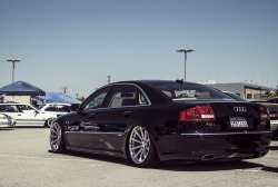 throttlestomper:  Audi A8L W12 [x]