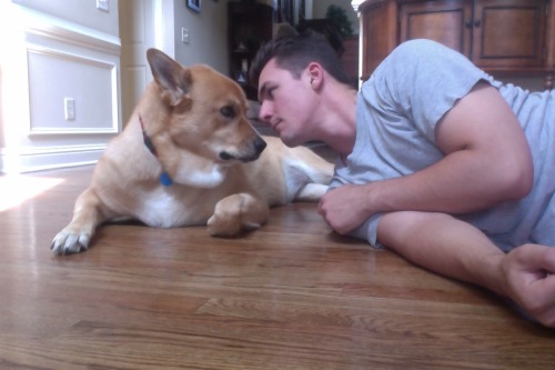anightintheforest:  theheatofthesouth:  theheatofthesouth:  I miss this stink butt (he sucks at staring contests)   I GET TO SEE SIMBA SOON  กิเลส