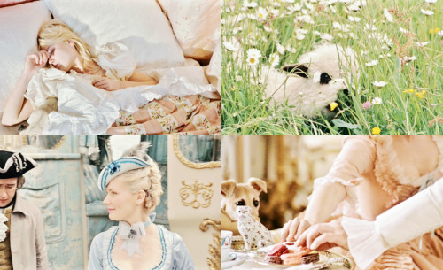  marie antoinette (sofia coppola) 