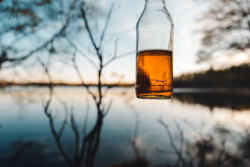 nfasth:  Beer in the forest, sunset by the