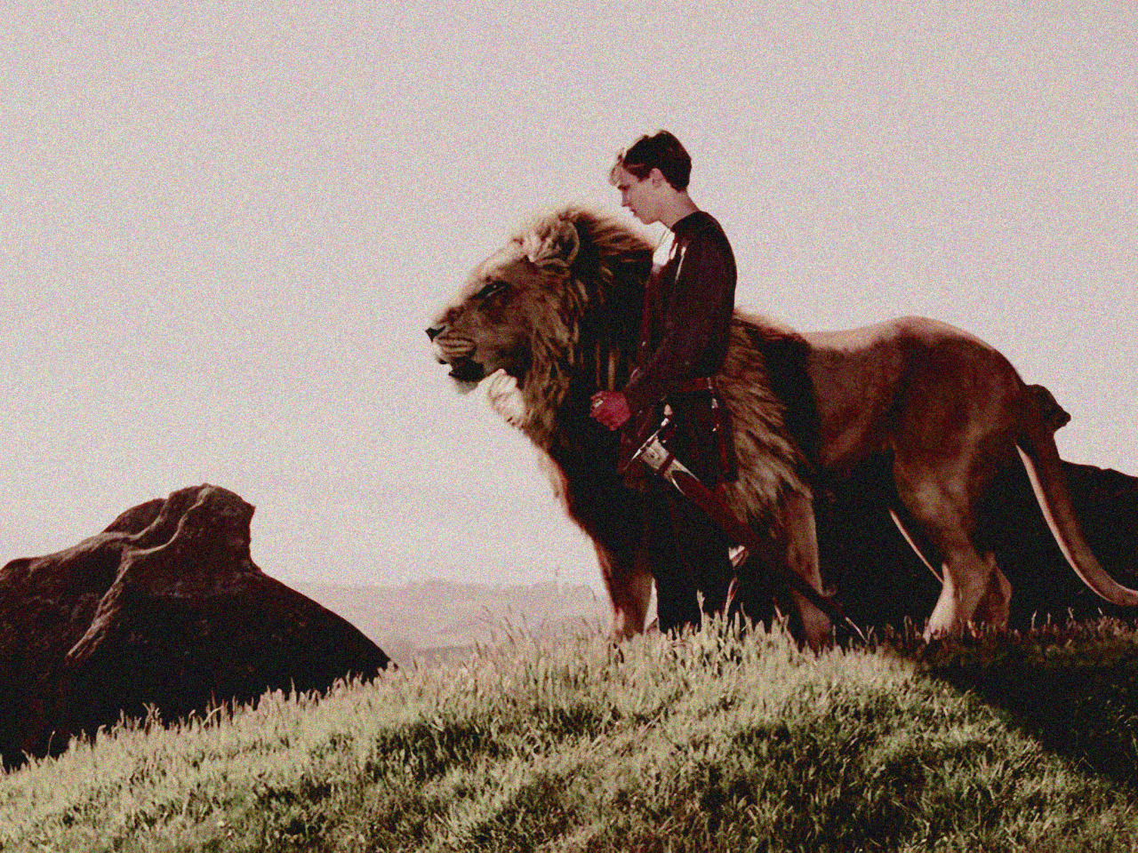 Quote to Remember: THE CHRONICLES OF NARNIA: THE LION, THE WITCH AND THE  WARDROBE [2005]