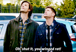 letangs:  SPN 10 countdown challenge | day 19 - episode 5 ↳ 9x05 - dog dean afternoon