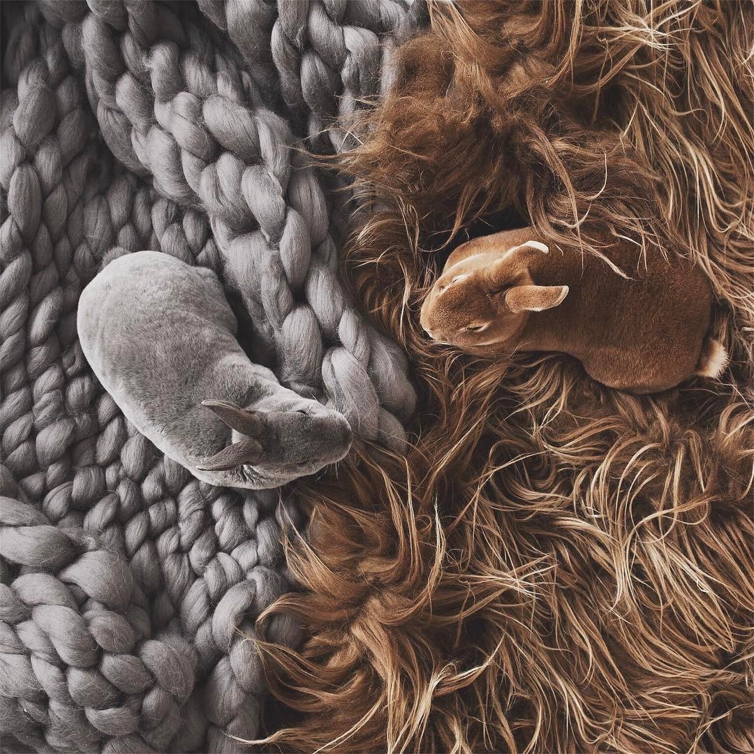 instagram:  Weekend Hashtag Project: #WHPdisguise  Weekend Hashtag Project is a series