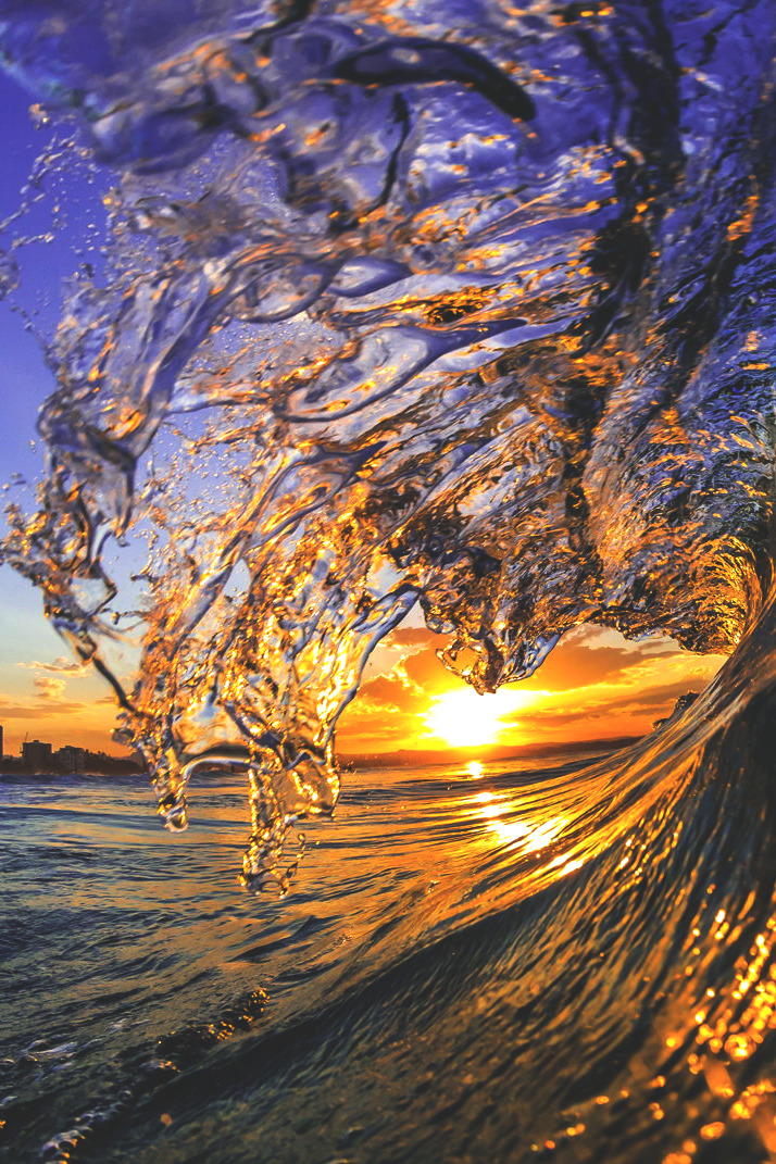 wavemotions:  The last wave before dinner