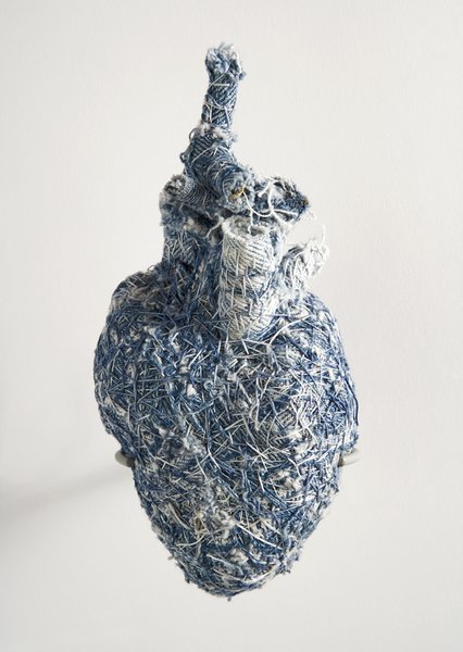 moshita:  Anatomical Denim Anne Wolf