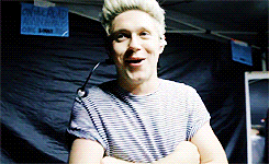 lewisandneil: Niall in the On The Road Again Tour Diary from the Honda Civic Tour: Part I