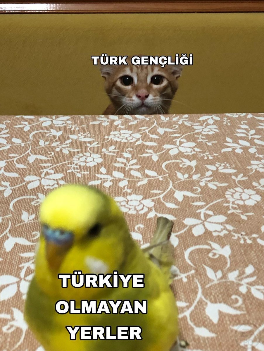 günaydın...