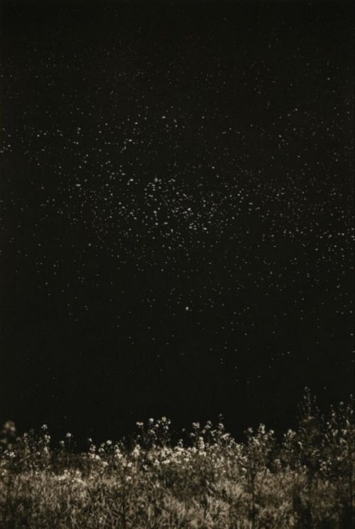 sesiondemadrugada:Masao Yamamoto.