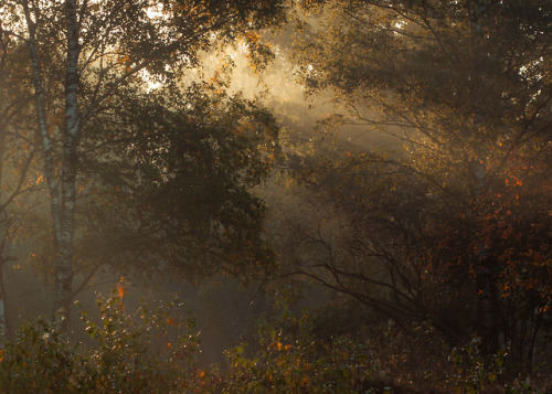 memoryslandscape:Petra van Impelen, Sunset at the Stulp, 2018