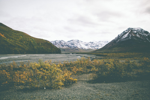 Porn jakeelko:  Trips down to Denali are always photos