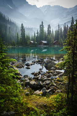 travelgurus: Outstanding View at Lake O'Hara, Yoho National Park, Canadian Rockies   by      Carrie Cole  - Flickr   Travel Gurus - Follow for more Nature Photographies!   