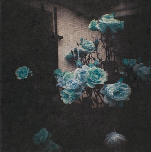 ☽The sound of Silence☾