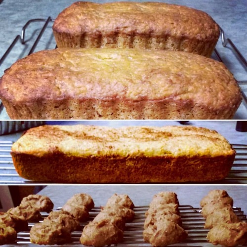 Went on a baking frenzy today and made banana bread and banana cookies with pbfit peanut powder. Ban