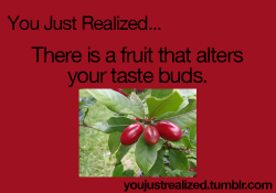 youjustrealized:  The fruit is here