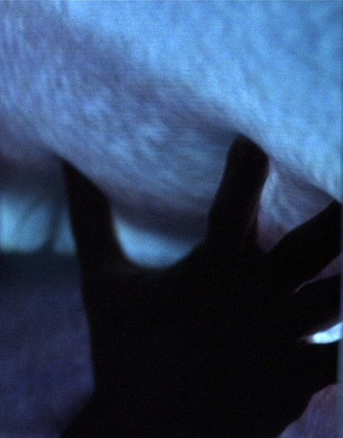 pierppasolini: Videodrome (1983) // dir. David Cronenberg