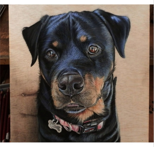 This Artist Creates the Most Realistic Animal Portraits We’ve Ever Seen