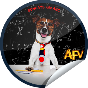      I just unlocked the America’s Funniest Home Videos: Smart Dog/Dumb Dog & Worst Ever sticker on GetGlue                      2905 others have also unlocked the America’s Funniest Home Videos: Smart Dog/Dumb Dog & Worst Ever sticker