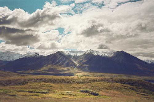 Denali National Park, Alaska USAFollow me on FLICKR - INSTAGRAM