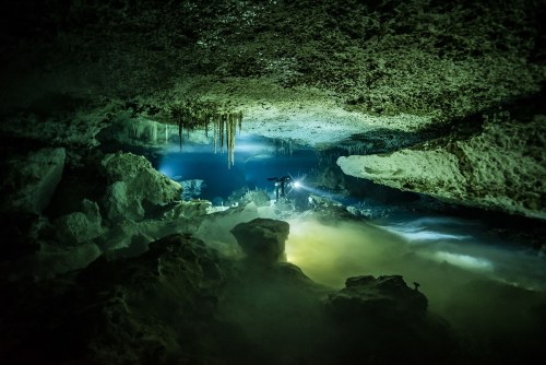 The Yucatan Peninsula is filled with cenotes—underwater caves filled with freshwater.