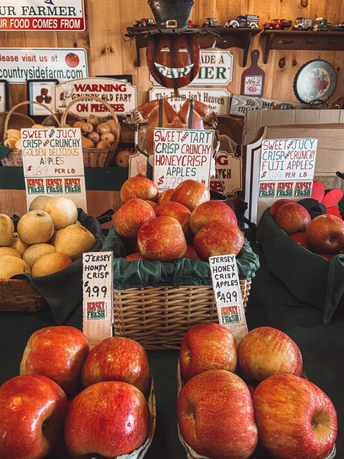 thicc-thighs-and-spooky-vibes:NJ, USA(Not my photos)Follow for more 🎃🍂🍁👻 