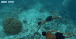 Sixpenceee:  How The Mokin Children Are Able To See With Amazing Clarity Underwater