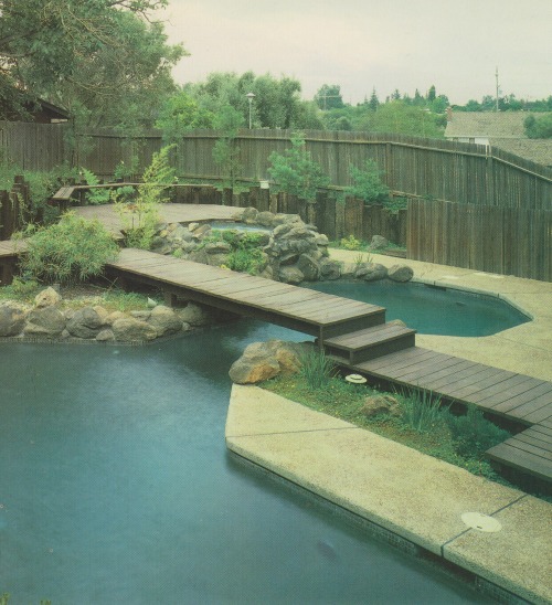 vintagehomecollection:  The Swimming Pool Gone Wild. Today’s swimming pool increasingly does double duty as a natural water feature. This pool sports an informal shape, complete with boulders, border plantings, and an upper pool with a waterfall.  Garden